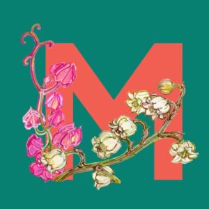Picture of MISS Journal & Archive 
